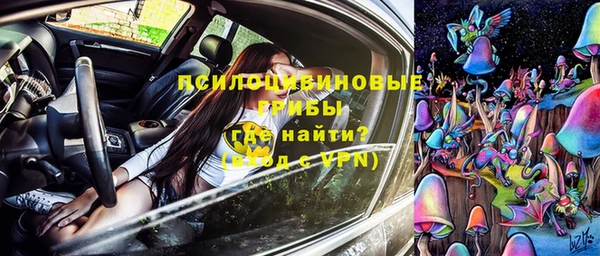 а пвп мука Армянск